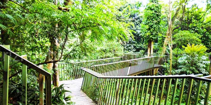 Pemkot Bandung Perkuat Pengawasan Bandung Utara dan Tambah RTH untuk Antisipasi Bencana