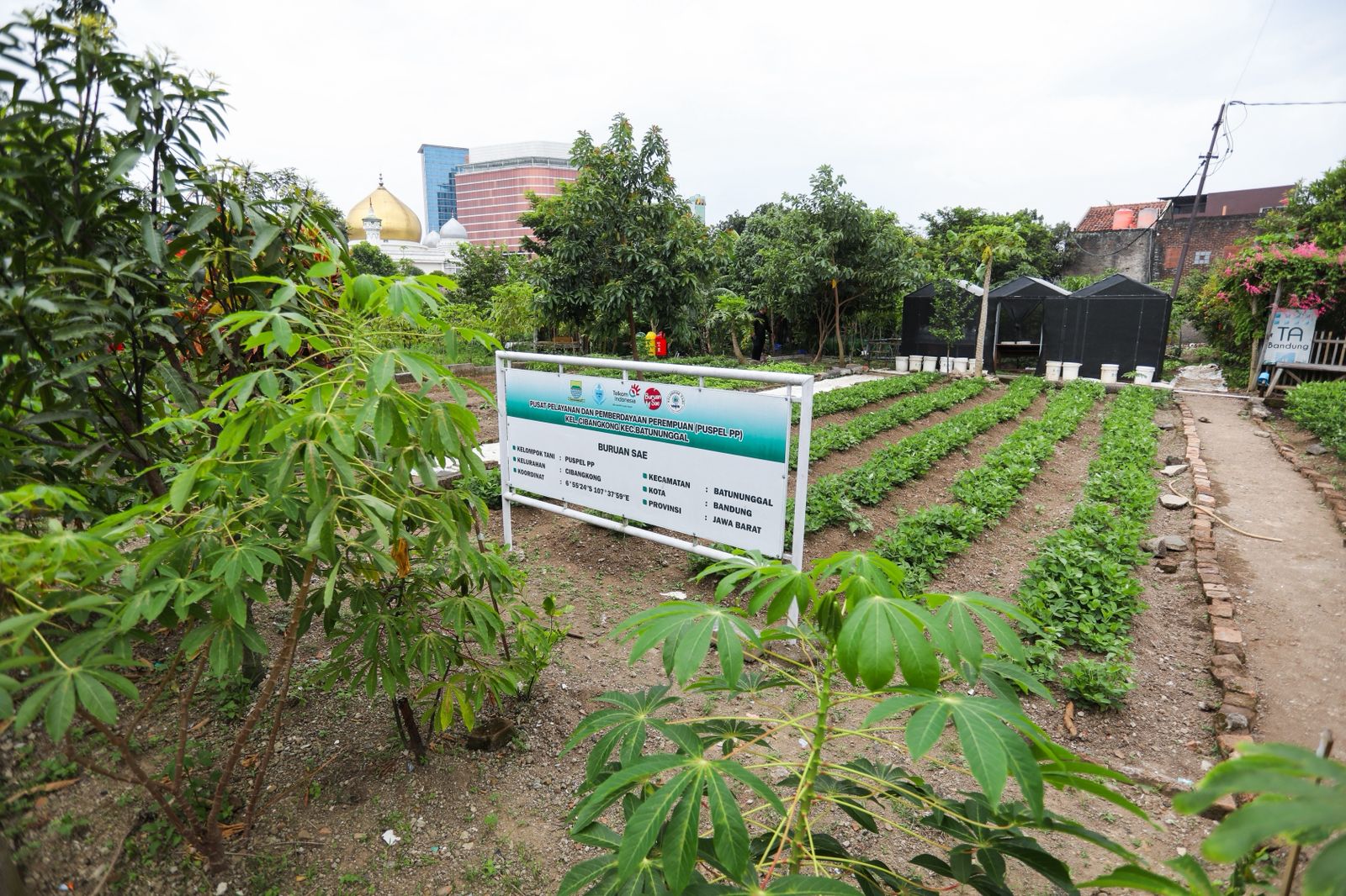 Warga Cibangkong Bangun Pertanian Terpadu di Tengah Kota