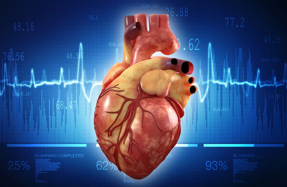 Kenali Fibrilasi Atrium: Gangguan Irama Jantung yang Bisa Picu Stroke
