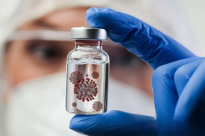 Waspada Gejala Awal, Dampak Virus Nipah Bisa Berakibat Fatal