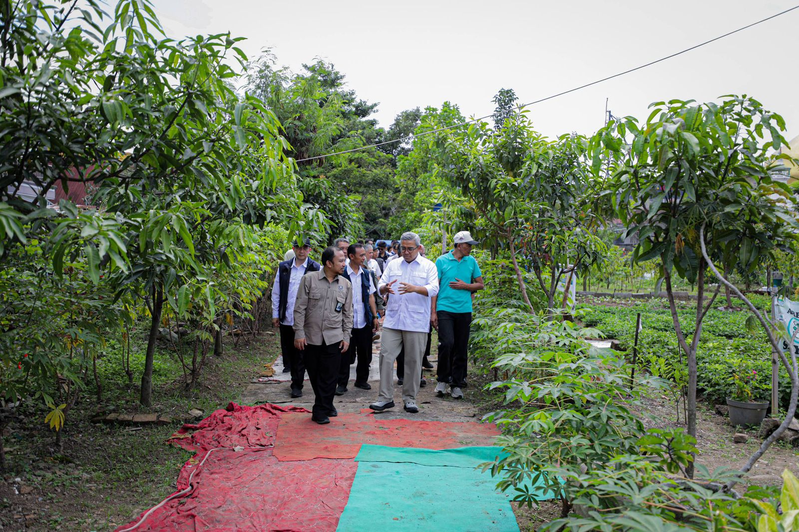 Dilirik Kemenko IPK, Urban Farming Batununggal Dikaji Jadi Ruang Terbuka Hijau