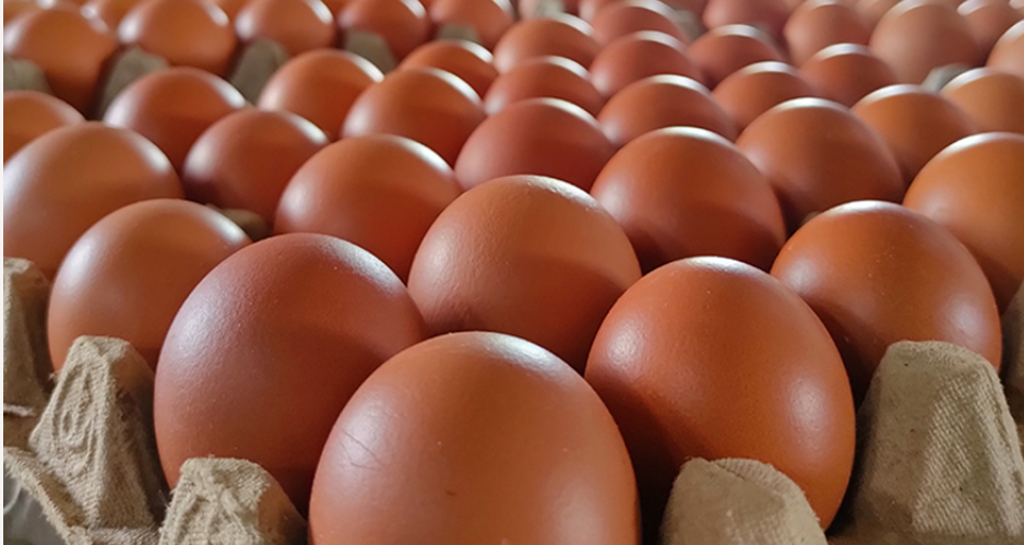 Menteri Pertanian Tegaskan Harga Daging dan Telur Harus Sesuai HET