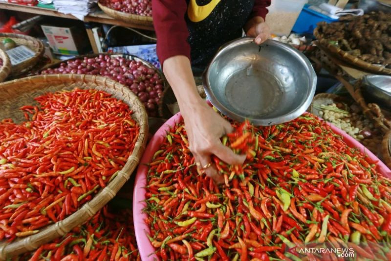 PIHPS Update Harga Pangan: Harga Cabai Rawit Tembus Rp63.700 per Kilo dan Telur Ayam Rp31.400